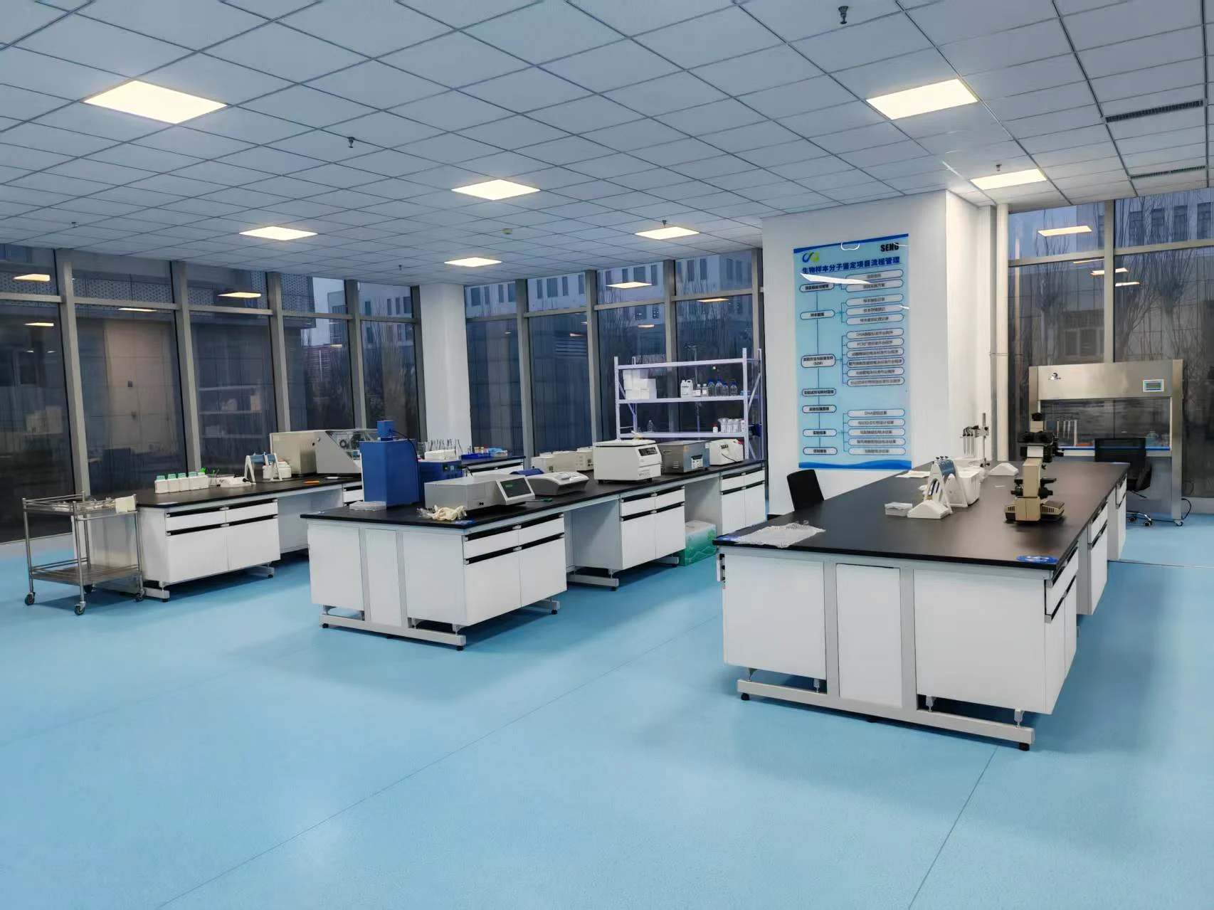 Potato flakes quality laboratory panoramic view