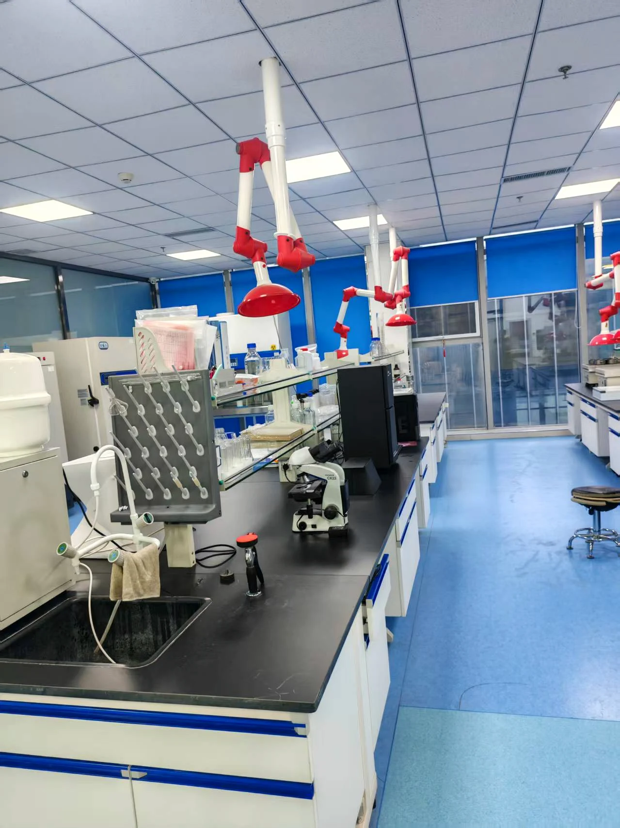 Potato flakes physicochemical testing area