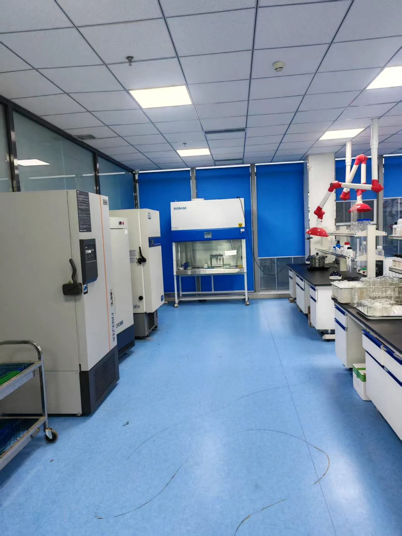 Potato flakes microbiology testing area
