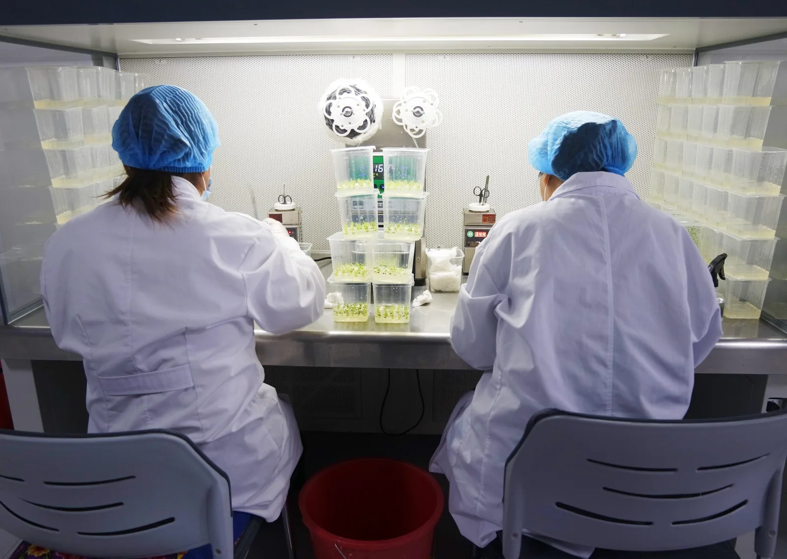Laboratory staff operating quality testing equipment